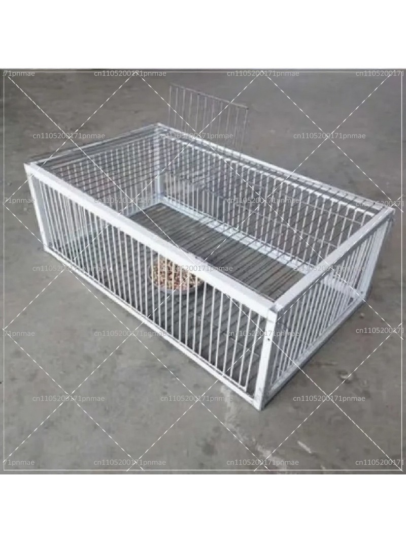 Professional Multifunctional B - đánh giá và giá Urban Farming Gardening